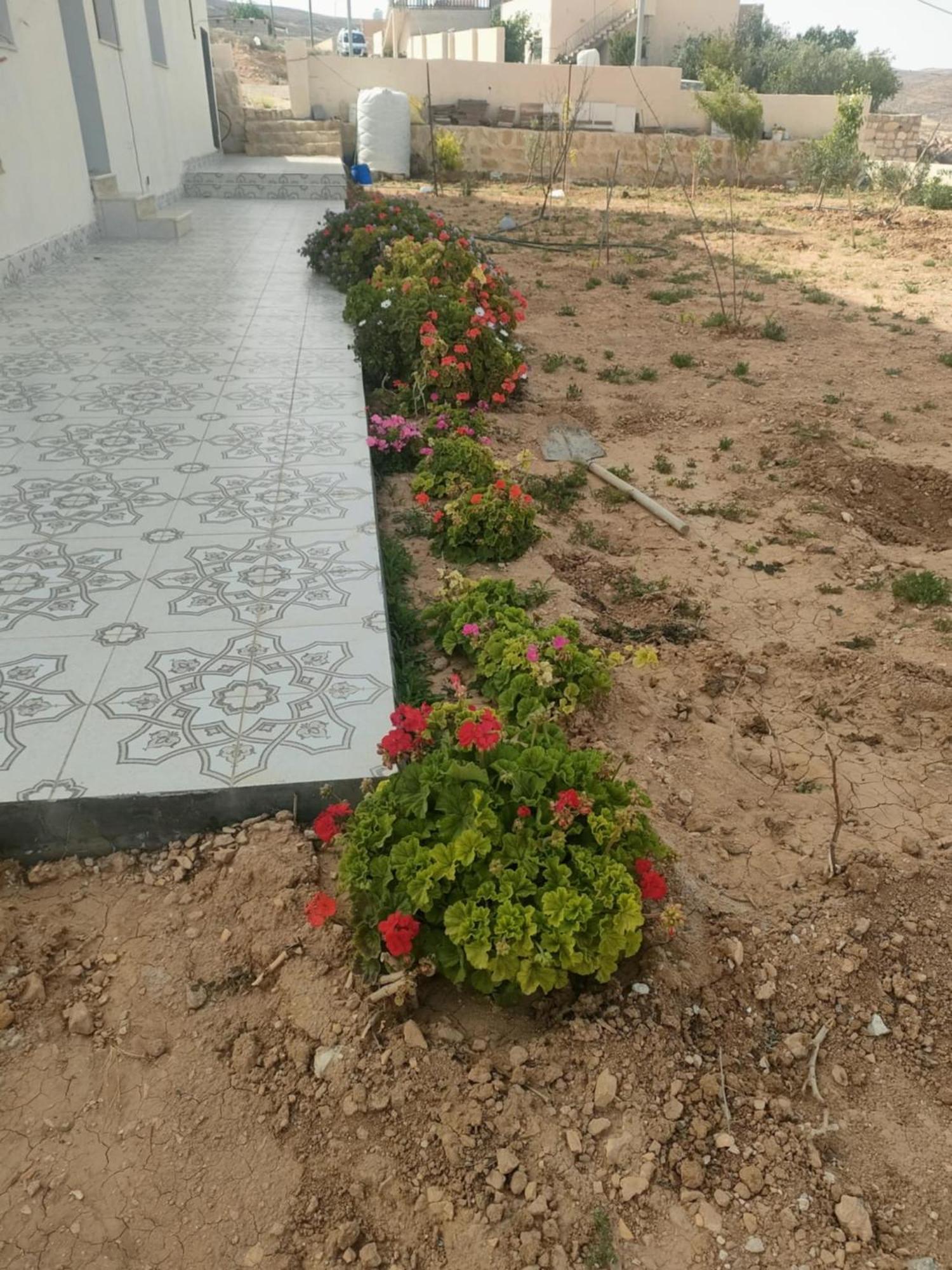 Darkum Apartment Wadi Musa Bagian luar foto